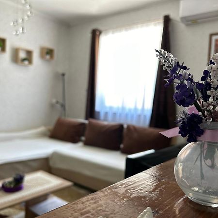 Levendula Vendeghaz Villa Balatonföldvár Dış mekan fotoğraf